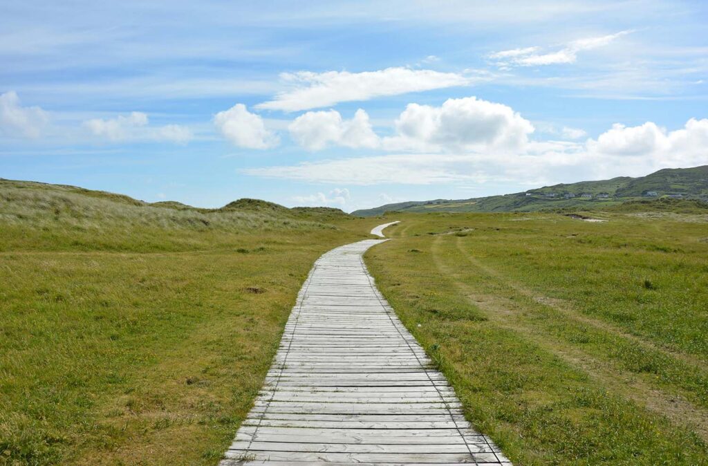 The Path